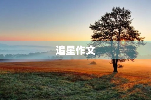 追星作文 追星作文
